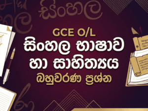 Gemini_Generated_Image_hj3jy3hj3jy3hj3j (1)