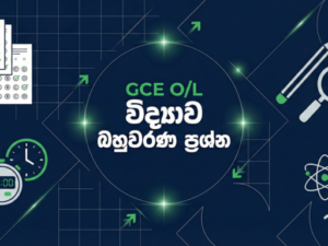 Gemini_Generated_Image_knyv81knyv81knyv (2)