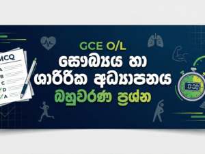 Gemini_Generated_Image_m60aiym60aiym60a (1)